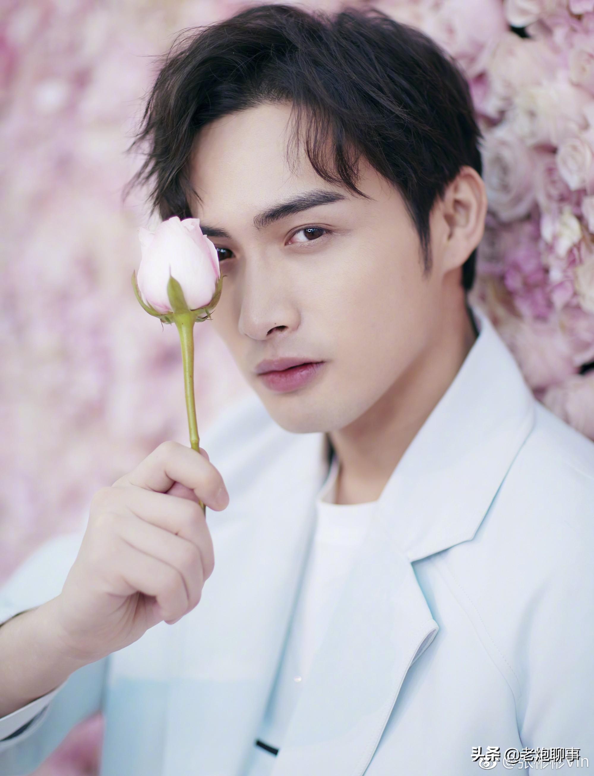 現(xiàn)代蘇蘇篇最新章節(jié)概覽及精彩內(nèi)容解析