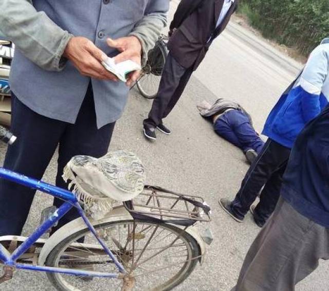 唐山樂亭車禍最新消息及觀點論述概述