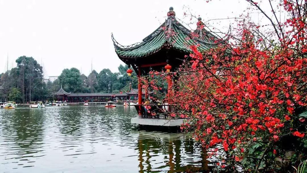 天府機場高速最新動態(tài)，一種觀點分析其影響及啟示