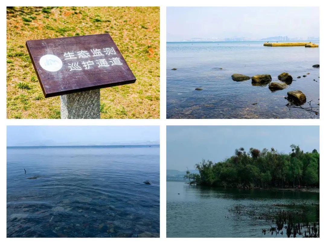 大理洱海治理最新進(jìn)展報(bào)道