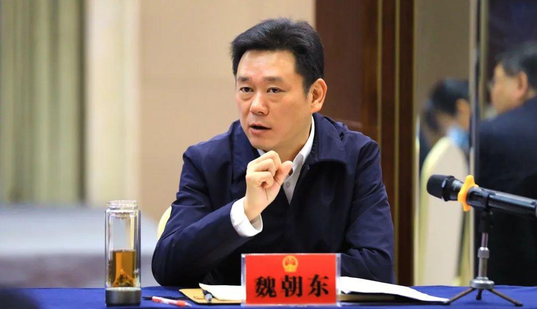 洪湖新聞最新報道，新堤發(fā)展動態(tài)及關(guān)鍵進展揭秘