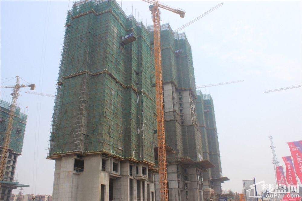 洛陽君悅藍(lán)庭最新動態(tài)深度解析與未來展望