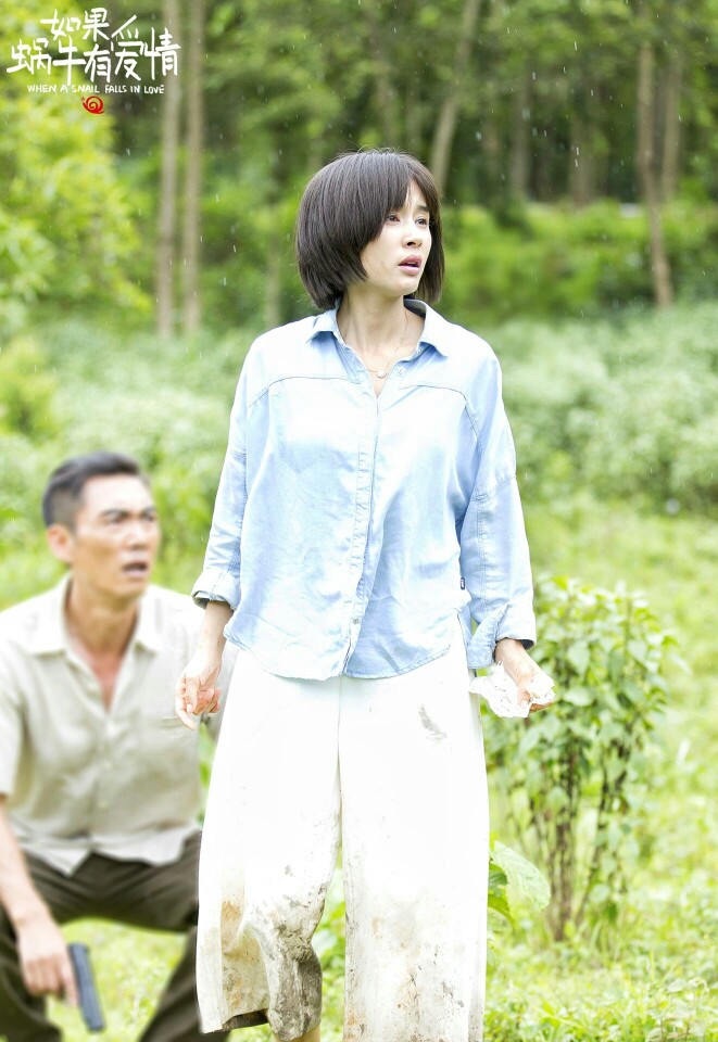 王子文電視劇最新力作，自信與成長的勵志之旅，歡笑與淚水的旅程