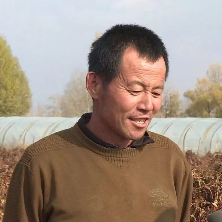 白玉山藥最新價(jià)格行情及分析