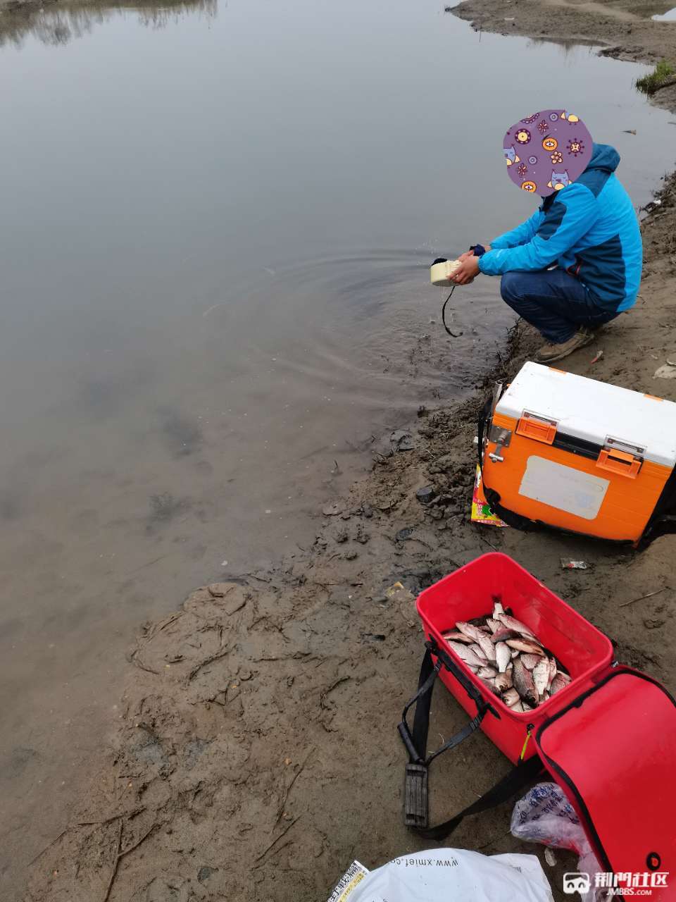 西釣網(wǎng)最新放魚信息全攻略，從初學(xué)者到進(jìn)階用戶的放魚步驟指南