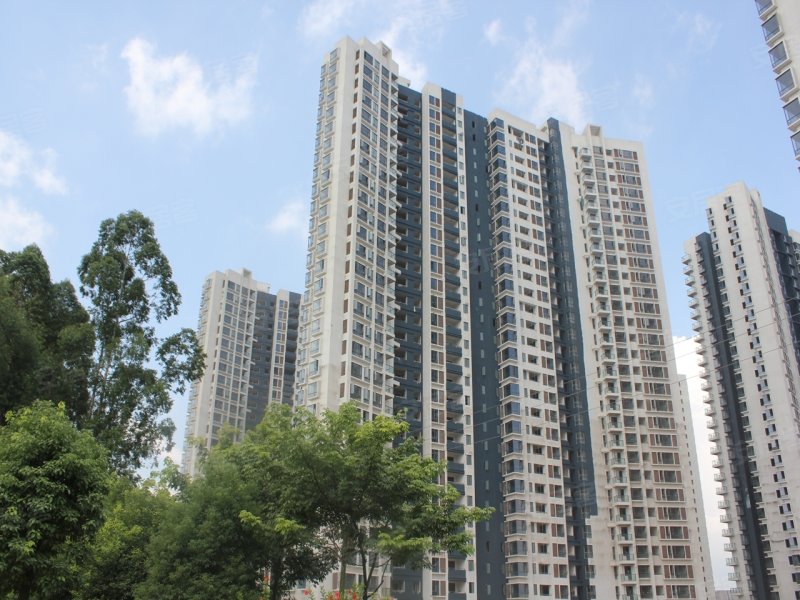 自由人花園最新房?jī)r(jià)及深度分析