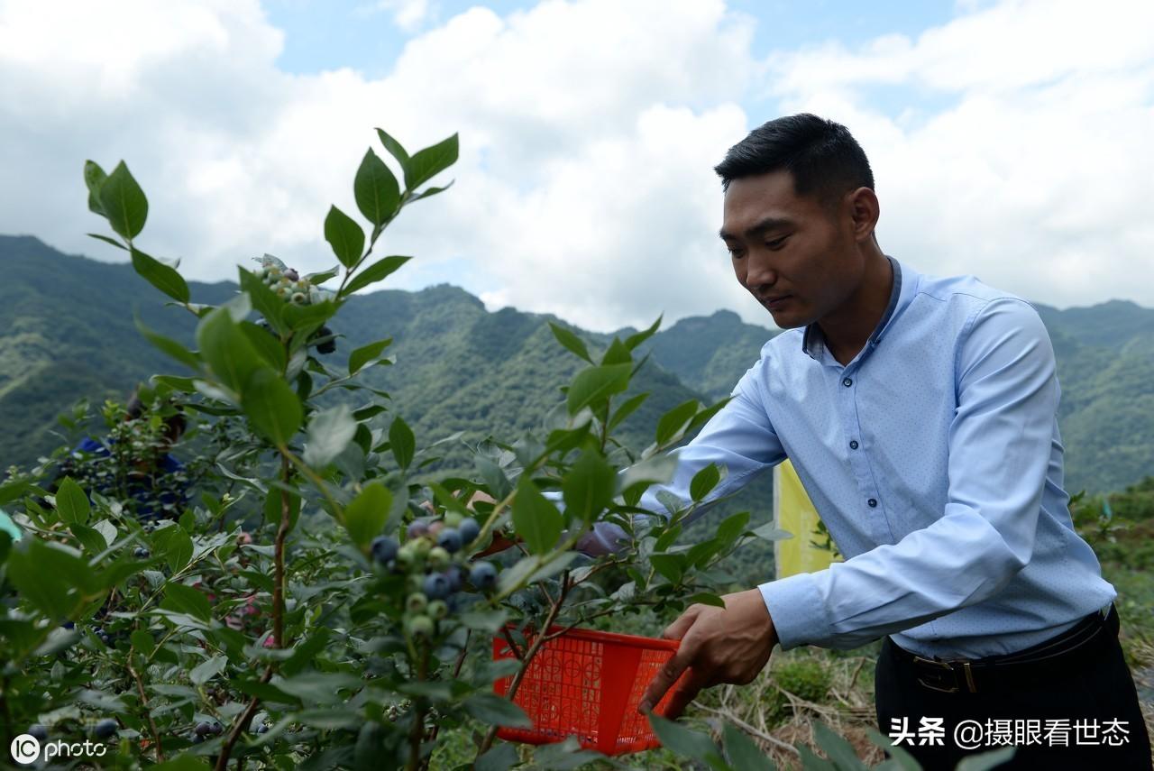 部隊(duì)農(nóng)場(chǎng)改革最新政策詳解，步驟指南與改革措施梳理