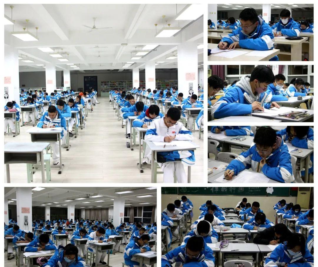 最新駕考試試題曝光，掌握未來(lái)考試趨勢(shì)