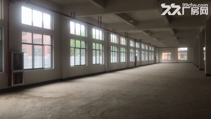 體育用品 第86頁