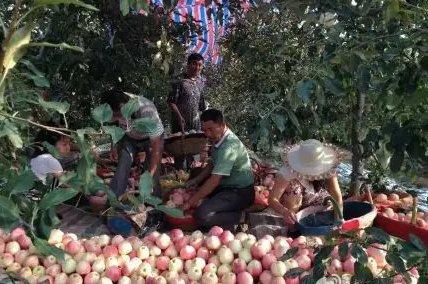 銅川天氣預(yù)報，最新天氣更新及預(yù)報信息