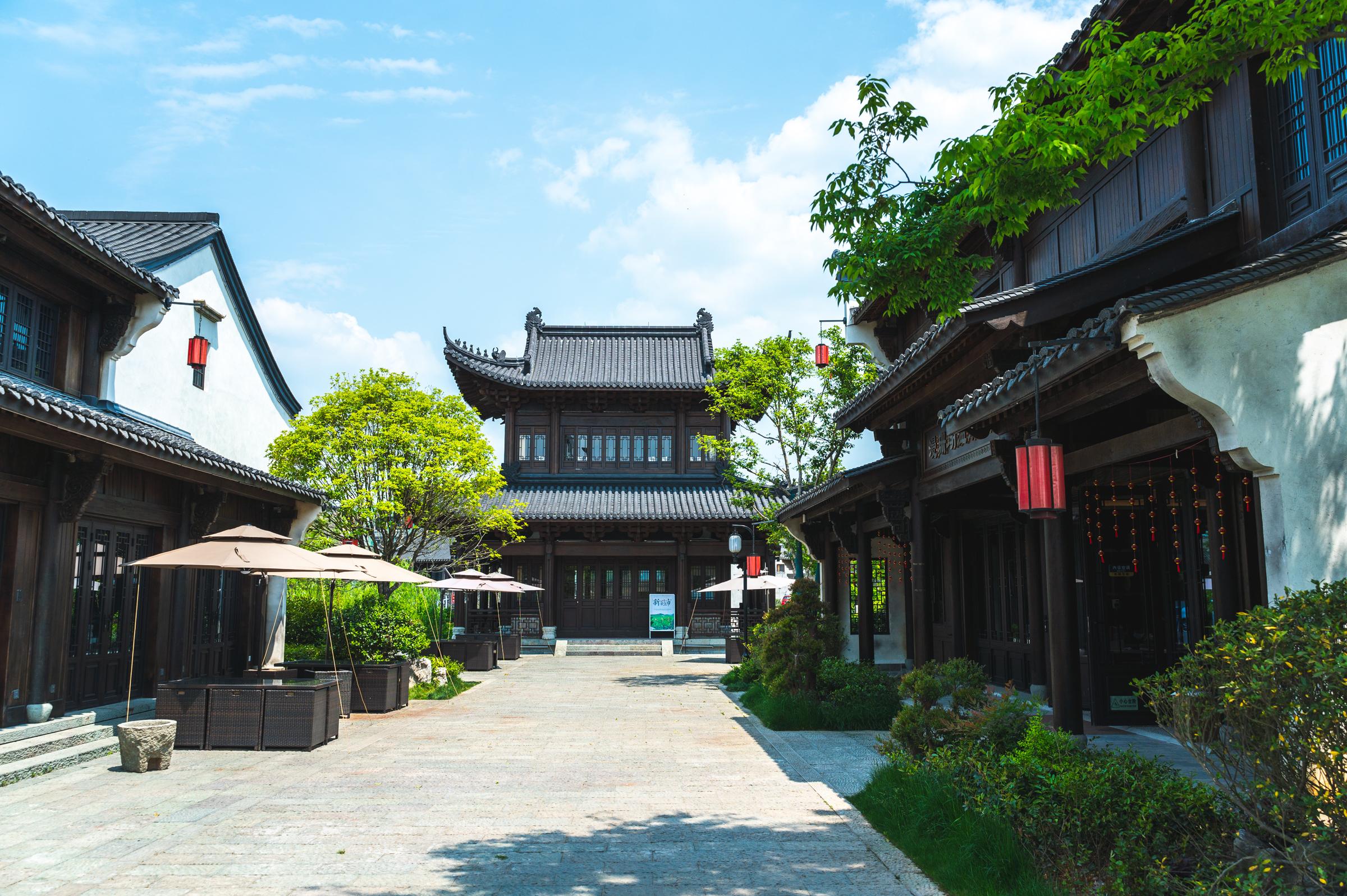 浙江建德梅城最新動(dòng)態(tài)，梅香四溢的溫情日常