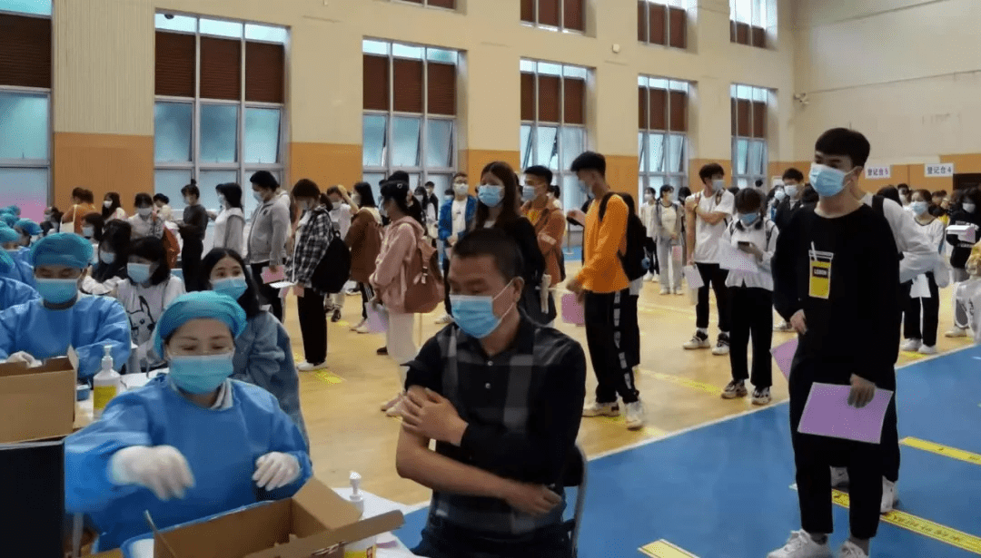 觀瀾佳能最新招聘信息全面解析