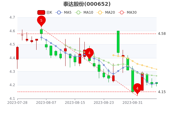 泰達(dá)股份股票最新消息全面解析與動(dòng)態(tài)更新