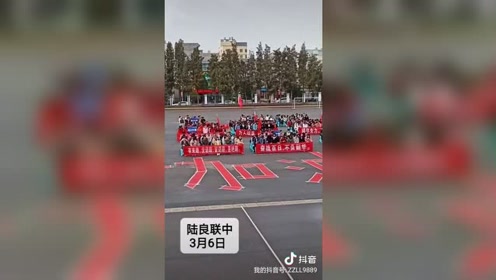 掌中陸良最新新聞，小巷深處的獨(dú)特風(fēng)味