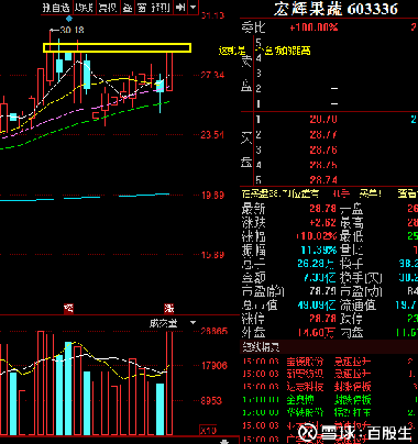 宏輝果蔬股價(jià)最新預(yù)測(cè)與小巷美食探秘揭秘