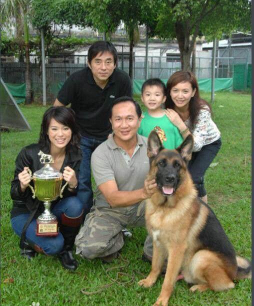 總裁要生娃，自然美景的探秘之旅最新章節(jié)