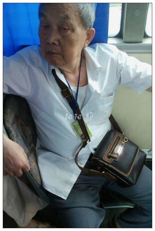 小巷深處的神秘小店，最新戀老小說大揭秘