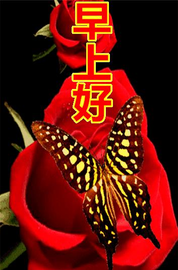 擁抱最新自我，自信閃耀在變化中