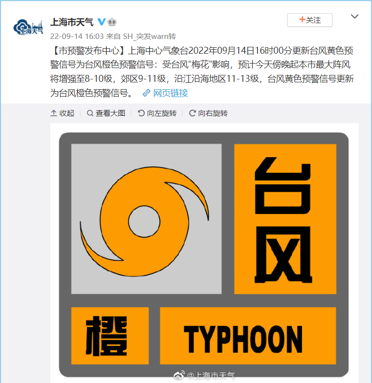 上海臺風(fēng)實時更新，最新動態(tài)與報告